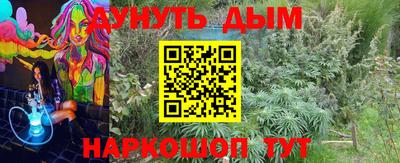 ALPHA PVP Обь
