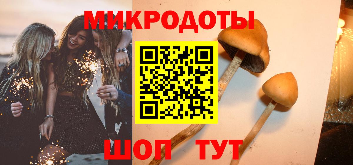 Галлюциногенные грибы MAGIC MUSHROOMS  Галлюциногенные грибы ЛСД  Вход с VPN  Сунжа 